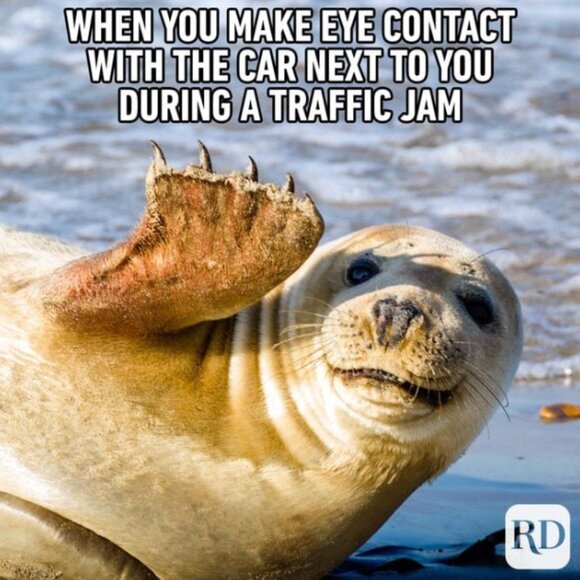 THUR. 10/30/25 YOUR CHOICE Share 3 Group - Picture 5 of 5